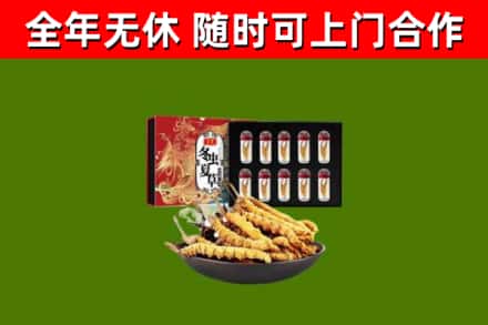 铁岭县回收冬虫夏草价格